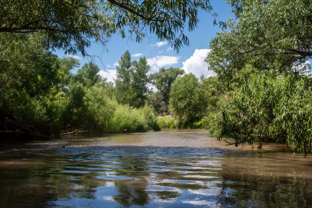 Oak Creek Verde River Arizona 6763